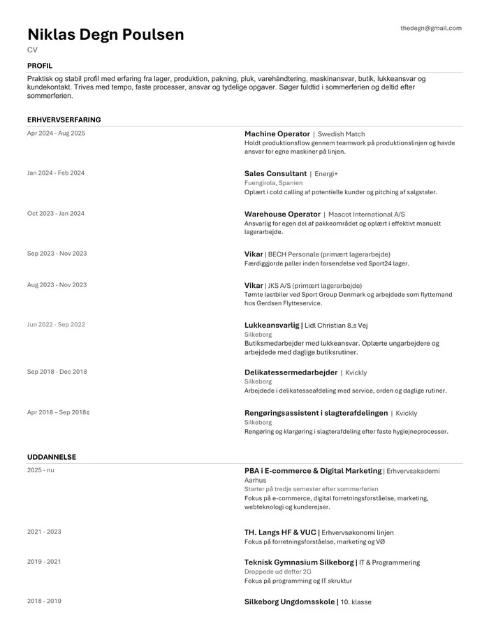 Forh&aring;ndsvisning af Niklas Degns CV
